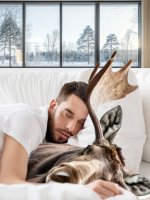 Moose-Nap.jpg Moose-Nap.jpg